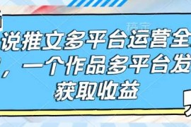 实战小说推文多平台运营全流程，一个作品多平台发布获取收益02-07冒泡网