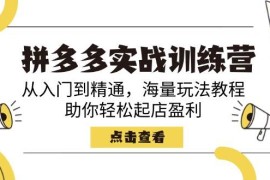 赚钱项目（14392期）拼多多实战训练营，从入门到精通，海量玩法教程，助你轻松起店盈利03-03中创网