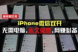 简单项目（13487期）iPhone微信双开无需电脑永久免费，适用所有iPhone手机11-27中创网