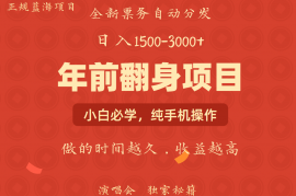 每日年前可以翻身的项目，日入2000+主打长久稳定，利润空间非常的大12-21福缘网