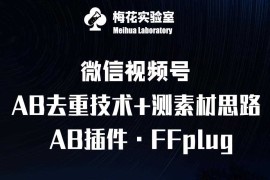 每天视频号连怼玩法-FFplug玩法AB插件使用+测素材教程-梅花实验室社群专享课03-06冒泡网