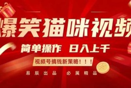 每天爆笑猫咪视频：简单操作，日入过K，视频号搞钱新策略【揭秘】12-21冒泡网