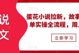 创业项目小说推文之蛋花小说拉新，故事混剪爆单实操全流程，周入过万11-17冒泡网