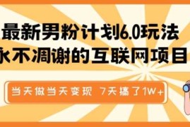 2025最新最新男粉计划6.0玩法，永不凋谢的互联网项目，当天做当天变现，视频包原创，7天搞了1个W02-12冒泡网