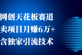 最新项目网创天花板赛道，卖项目月赚6万+，含独家引流技术（共26节课）12-15福缘网