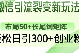 手机项目（14451期）微信引流裂变新玩法：布局50+长尾词矩阵，轻松日引300+创业粉03-09中创网