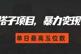 简单项目2024搭子玩法，0门槛，暴力变现，单日最高破四位数【揭秘】11-17冒泡网