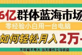 赚钱项目6亿群体蓝海市场，零经验小白用一台电脑，如何轻松月入过w【揭秘】12-30冒泡网