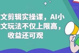 创业项目AI推文剪辑实操课，AI小说推文玩法不仅上限高，收益还可观03-19冒泡网