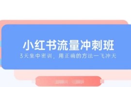 热门项目小红书流量冲刺班2025，最懂小红书的女人，快速教你2025年入局小红书01-21冒泡网