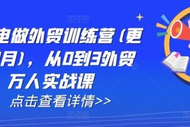 实战AI闪电做外贸训练营(更新11月)，从0到3外贸万人实战课11-24冒泡网