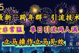 每日最新“跨年群”引流，流量非常猛，单日引流两人满人群，立马操作立马见效【揭秘】12-21冒泡网