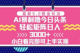 最新项目（13398期）今日头条最新5.0掘金玩法，轻松矩阵日入3000+11-20中创网