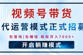 每天【视频号代运营】全程托管计划招募，躺赚模式，单月轻松变现7000+02-22福缘网