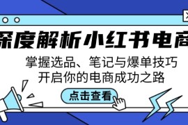 创业项目（12585期）深度解析小红书电商：掌握选品、笔记与爆单技巧，开启你的电商成功之路09-14中创网