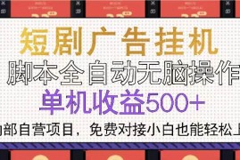 创业项目（13540期）短剧广告全自动挂机单机单日500+小白轻松上手12-02中创网