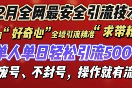 每日12月份全网最安全引流创业粉技术来袭，不封号不废号，有操作就有流量【揭秘】12-15冒泡网