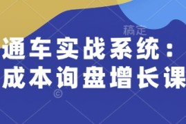 每天直通车实战系统：低成本询盘增长课，让个人通过技能实现升职加薪，让企业低成本获客，订单源源不断01-19冒泡网