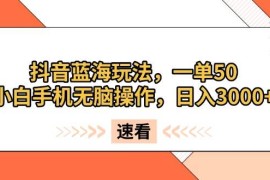 最新项目（13565期）抖音蓝海玩法，一单50，小白手机无脑操作，日入3000+12-04中创网