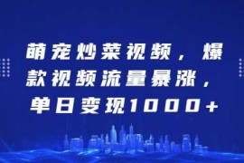 热门项目萌宠炒菜视频，爆款视频流量暴涨，单日变现1k11-20冒泡网