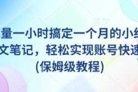 每天AI+批量一小时搞定一个月的小红书爆款图文笔记，轻松实现账号快速涨粉(保姆级教程)03-17冒泡网