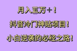 每天抖音冷门神贴项目，小白逆袭的必经之路，月入过W【揭秘】11-28冒泡网