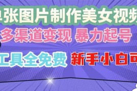 2024最新（13610期）单张图片作美女视频，多渠道变现暴力起号，所有工具全免费，新手小…12-08中创网