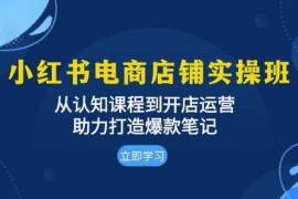 简单项目小红书电商店铺实操班：从认知课程到开店运营，助力打造爆款笔记11-17福缘网