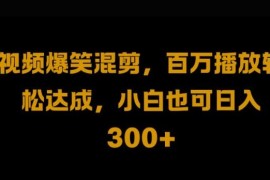 热门项目视频号零门槛，爆火视频搬运后二次剪辑，轻松达成日入1k【揭秘】09-21冒泡网