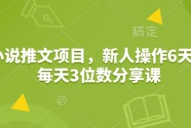 最新项目小说推文项目，新人操作6天，每天3位数分享课01-19冒泡网