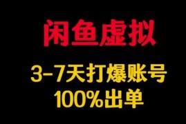 每日闲鱼虚拟详解，3-7天打爆账号，100%出单03-05冒泡网