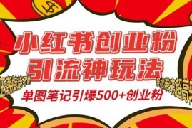 热门项目小红书创业粉引流神玩法，单图笔记引爆500+精准创业粉丝，私信狂潮接连不断12-05冒泡网