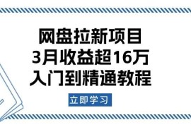 2025最新（13994期）网盘拉新项目：3月收益超16万，入门到精通教程01-21中创网