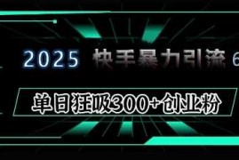 每日2025年快手6.0保姆级教程震撼来袭，单日狂吸300+精准创业粉01-08冒泡网