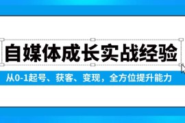 实战（13963期）自媒体成长实战经验，从0-1起号、获客、变现，全方位提升能力01-11中创网