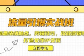 每天流量引爆实战班，涵盖情绪触点，剪辑技巧，投放逻辑等，打造女性IP变现01-24福缘网