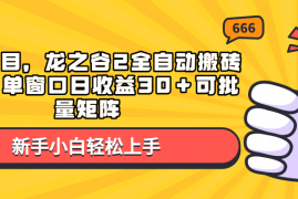 2024最新（13769期）蓝海项目，龙之谷2全自动搬砖游戏，单窗口日收益30＋可批量矩阵12-22中创网