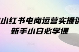 热门项目1V1小红书电商运营实操课，新手小白必学课便宜07月29日冒泡网VIP项目