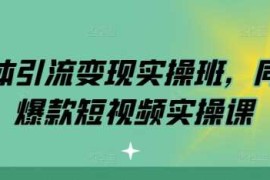 简单项目实体引流变现实操班，同城爆款短视频实操课11-23冒泡网