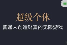 创业项目超级个体2024-2025翻盘指南，普通人创造财富的无限游戏02-20冒泡网