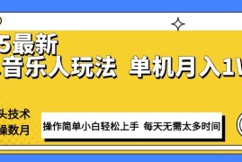 最新项目（13977期）最新汽水音乐人计划操作稳定月入1W+技术源头稳定实操数月小白轻松上手01-17中创网