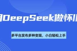 每天利用DeepSeek做怀旧视频，流量号多渠道变现能力强02-26冒泡网