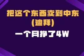 简单项目（13740期）跨境电商一个人在家把货卖到迪拜，暴力项目拆解12-21中创网