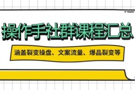 赚钱项目操盘手合伙人课程汇总：包含裂变操盘、文案流量、爆品裂变等多方面的内容02-22福缘网