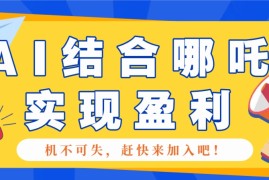 每天哪咤2爆火，如何利用AI结合哪吒2实现盈利，月收益5000+【附详细教程】02-11福缘网