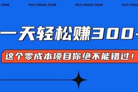 赚钱项目（13702期）零成本入门！简单几步开启一天300+的赚钱之路！12-17中创网