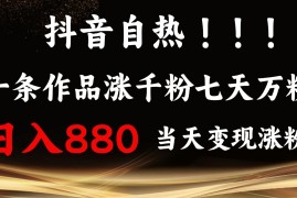 热门项目抖音小红书自热，一条作品1000粉，7天万粉，单日变现880收益11-29福缘网