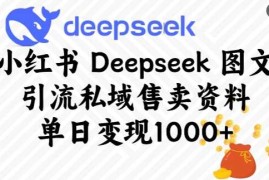 每日小红书Deepseek图文引流私域售卖资料，单日变现多张02-24冒泡网