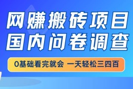 实战（14578期）网赚搬砖项目，国内问卷调查，0基础看完就会一天轻松三四百，靠谱副业…03-19中创网