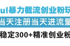 最新项目（13935期）Soul暴力截流创业粉玩法，当天注册当天进流量，日稳定300+精准创业粉丝01-07中创网